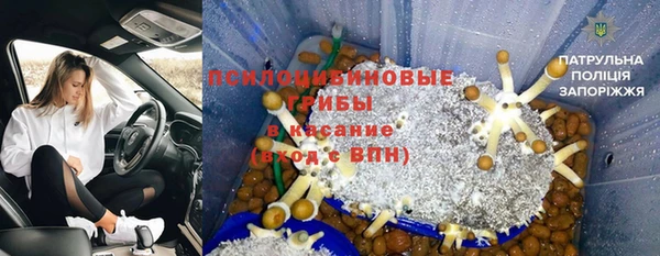 прущий лед Абаза